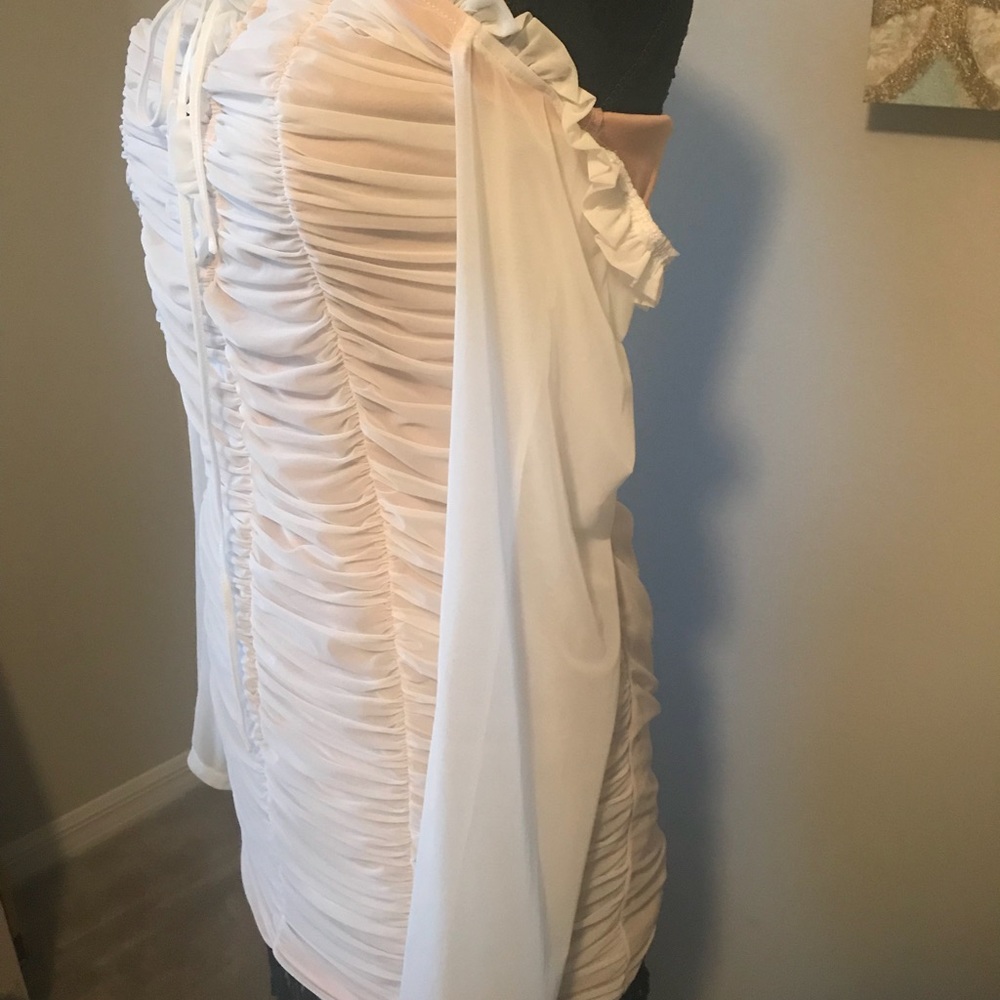 Fashionnova Curve Ruched Mesh Dress - Picture 6 of 8